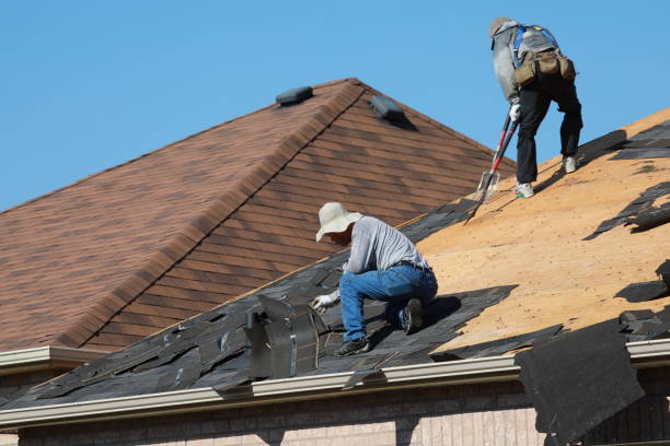 Best Solar Panel Roofing Installation  in Lake Shore, MN