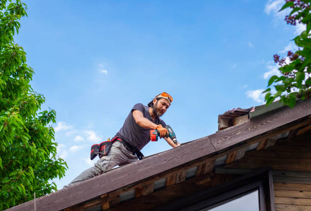 Best Roof Insulation Installation  in Lake Shore, MN