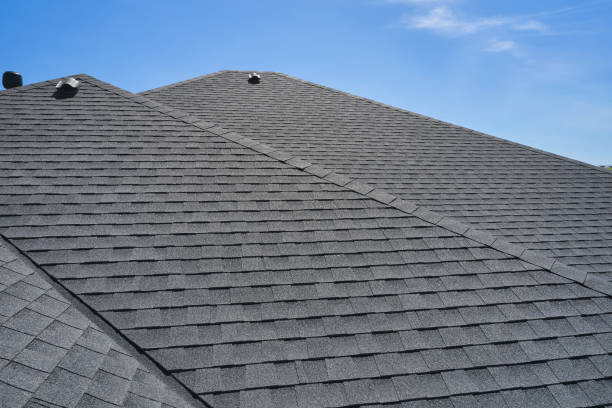 Best Roof Ventilation Installation  in Lake Shore, MN